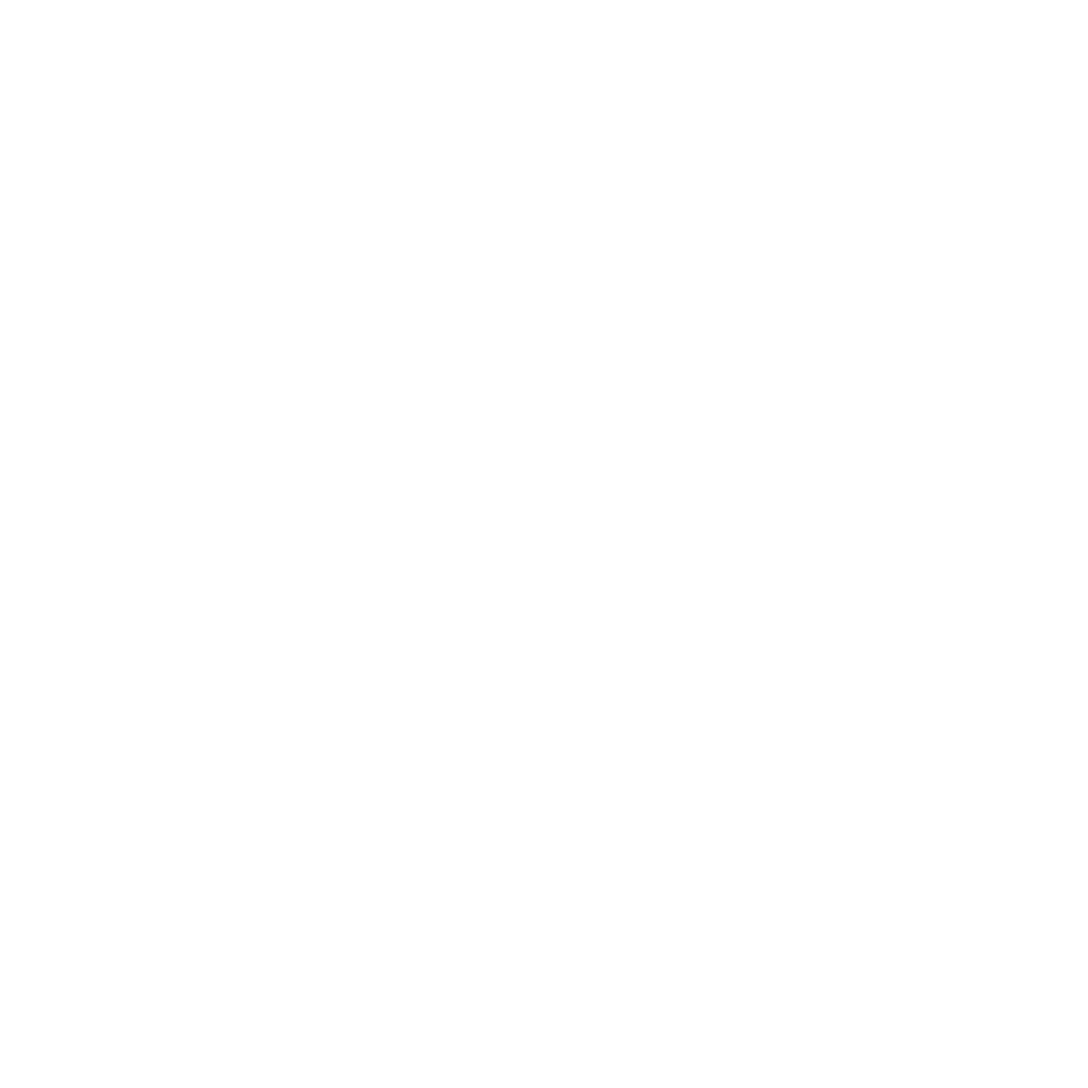 FlexPOS